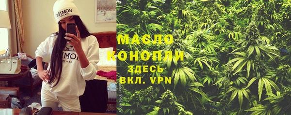 apvp Инсар