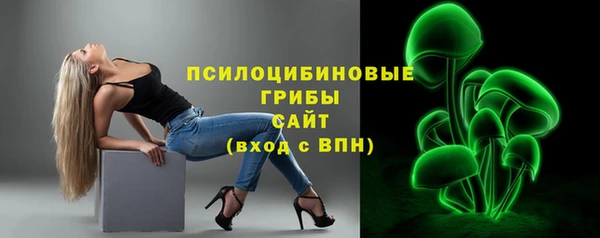 винт Инта