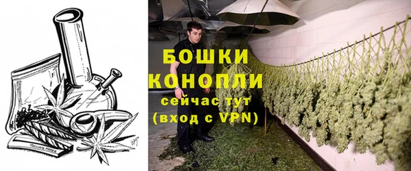 винт Инта